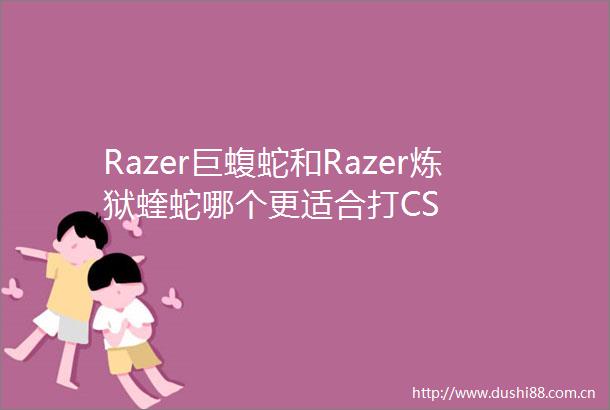Razer巨蝮蛇和Razer炼狱蝰蛇哪个更适合打CS