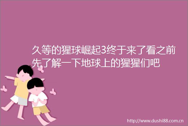 久等的猩球崛起3终于来了看之前先了解一下地球上的猩猩们吧