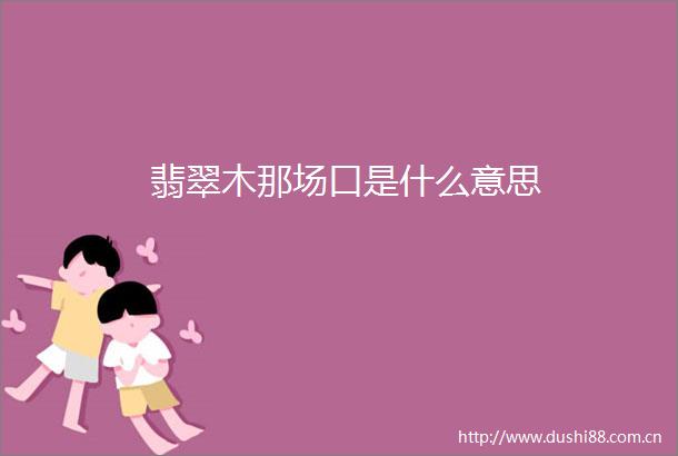 翡翠木那场口是什么意思
