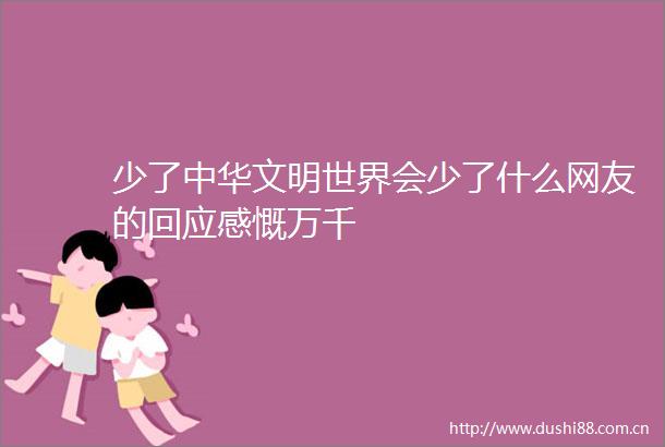 少了中华文明世界会少了什么网友的回应感慨万千