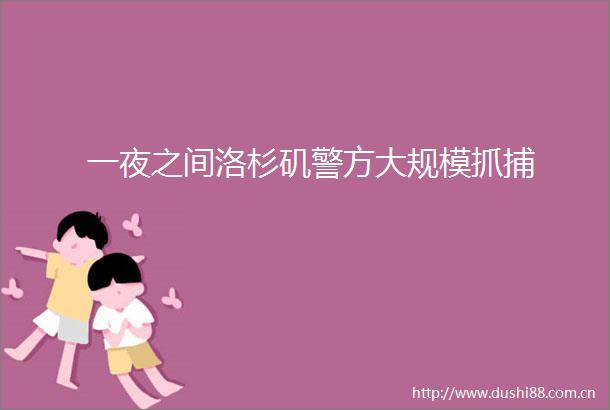 一夜之间洛杉矶警方大规模抓捕