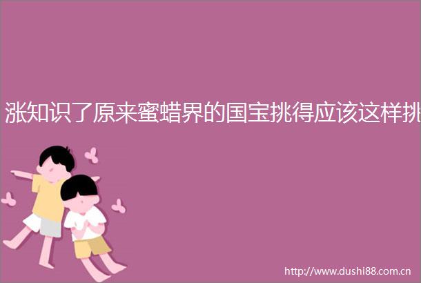 涨知识了原来蜜蜡界的国宝挑得应该这样挑