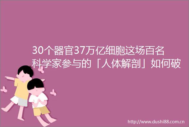 30个器官37万亿细胞这场百名科学家参与的「人体解剖」如何破解疾病起源