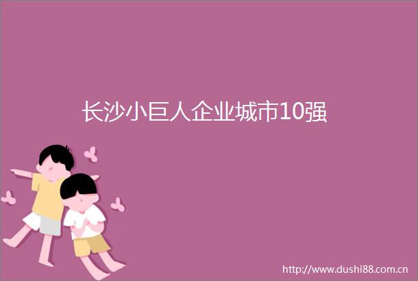 长沙小巨人企业城市10强