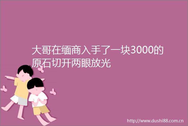 大哥在缅商入手了一块3000的原石切开两眼放光