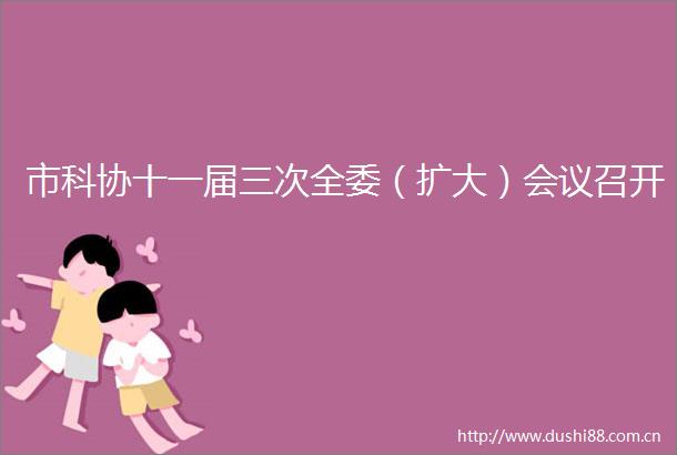 市科协十一届三次全委（扩大）会议召开
