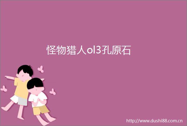 怪物猎人ol3孔原石