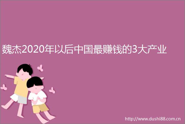 魏杰2020年以后最赚钱的3大产业