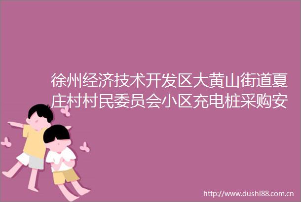 徐州经济技术开发区大黄山街道夏庄村村民委员会小区充电桩采购安装项目成交公告