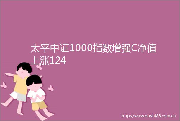太平中证1000指数增强C净值上涨124