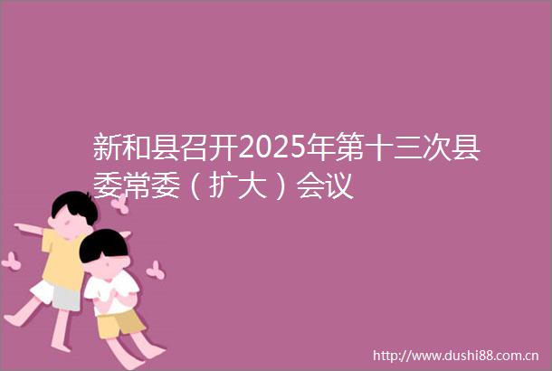 新和县召开2025年第十三次县委常委（扩大）会议