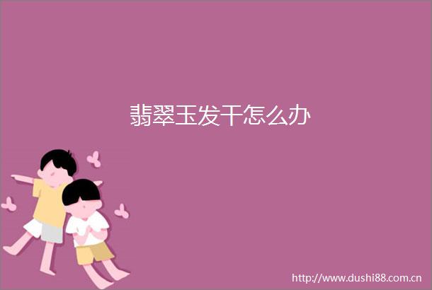 翡翠玉发干怎么办