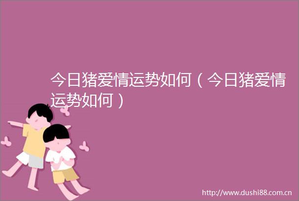 今日猪爱情运势如何（今日猪爱情运势如何）