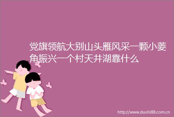 党旗领航大别山头雁风采一颗小菱角振兴一个村天井湖靠什么