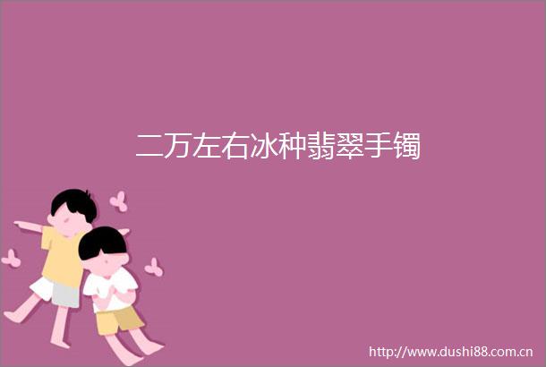二万左右冰种翡翠手镯
