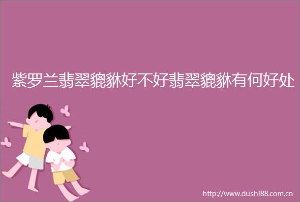 紫罗兰翡翠貔貅好不好翡翠貔貅有何好处