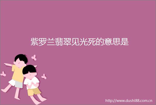 紫罗兰翡翠见光死的意思是