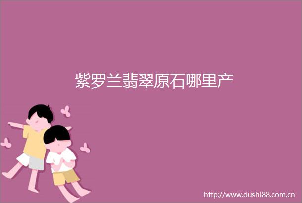 紫罗兰翡翠原石哪里产