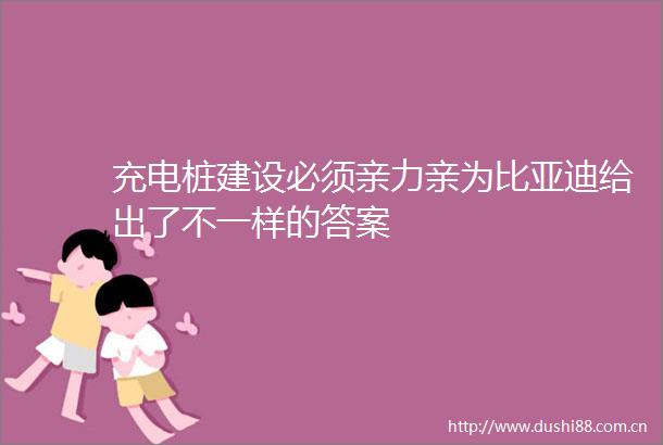 充电桩建设必须亲力亲为比亚迪给出了不一样的答案