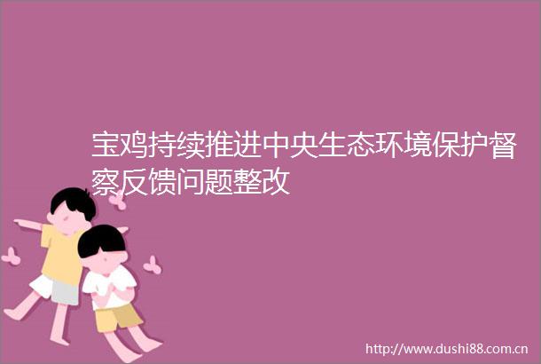 宝鸡持续推进中央生态环境保护督察反馈问题整改