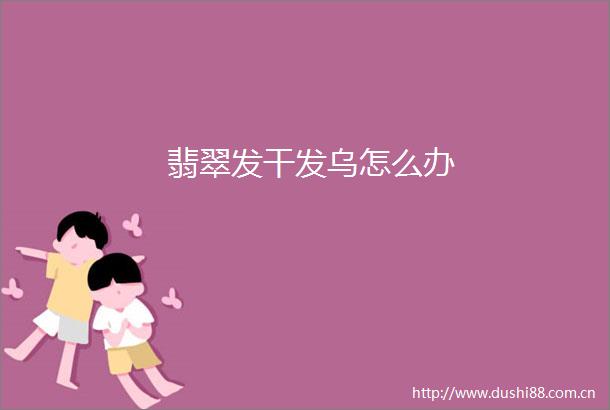 翡翠发干发乌怎么办