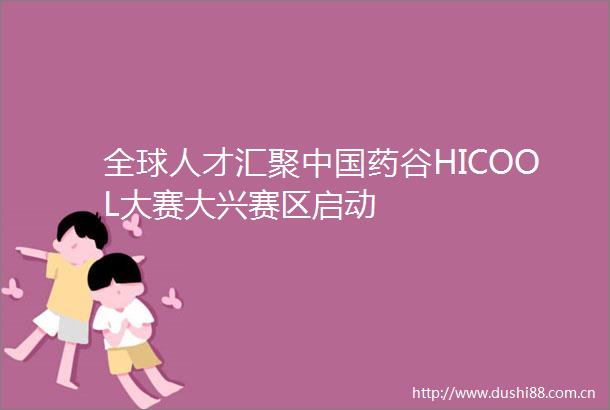 全球人才汇聚药谷HICOOL大赛大兴赛区启动