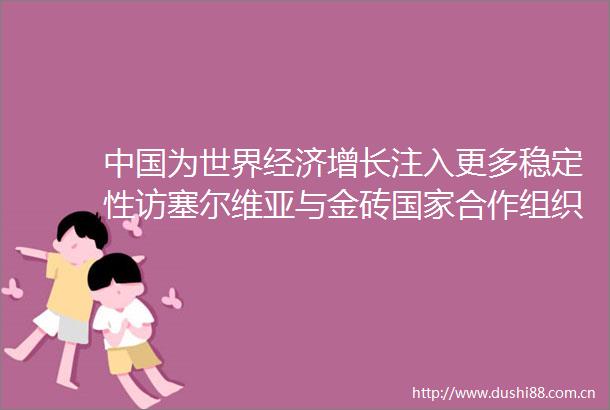 为世界经济增长注入更多稳定性访塞尔维亚与金砖合作组织创始人左兰约万诺维奇