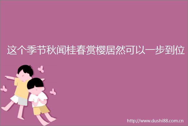 这个季节秋闻桂春赏樱居然可以一步到位