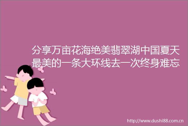 分享万亩花海绝美翡翠湖夏天最美的一条大环线去一次终身难忘