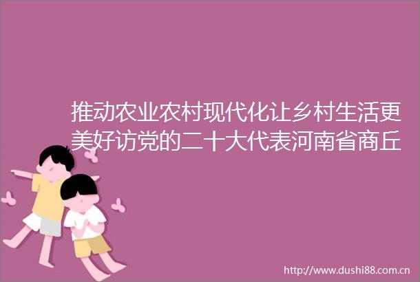 推动农业农村现代化让乡村生活更美好访党的二十大代表河南省商丘市委书记李国胜