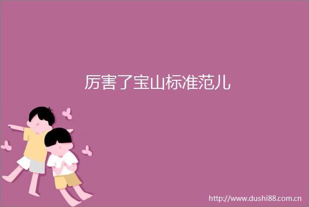 厉害了宝山标准范儿