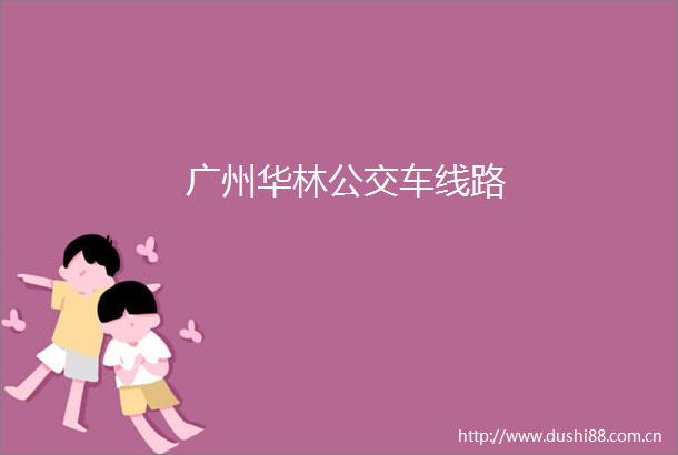 广州华林公交车线路
