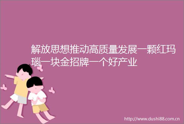 解放思想推动高质量发展一颗红玛瑙一块金招牌一个好产业