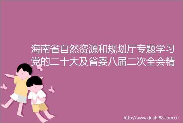 海南省自然资源和规划厅专题学习党的二十大及省委八届二次全会精神