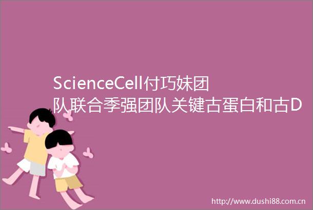 ScienceCell付巧妹团队联合季强团队关键古蛋白和古DNA阐明近完整头骨哈尔滨古人类是丹尼索瓦人