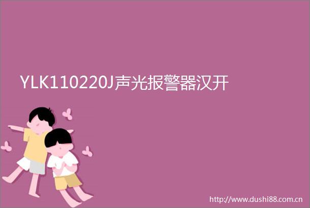 YLK110220J声光器汉开