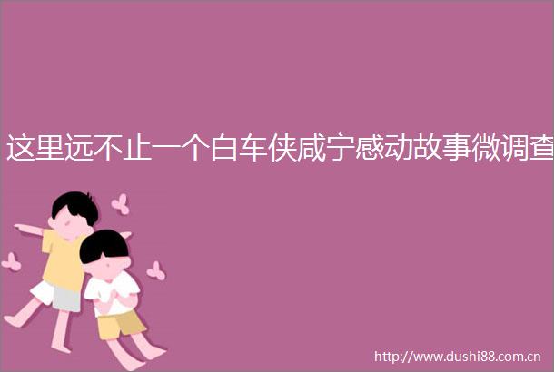 这里远不止一个白车侠咸宁感动故事微调查