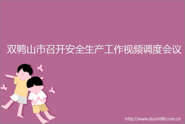 双鸭山市召开安全生产工作视频调度会议