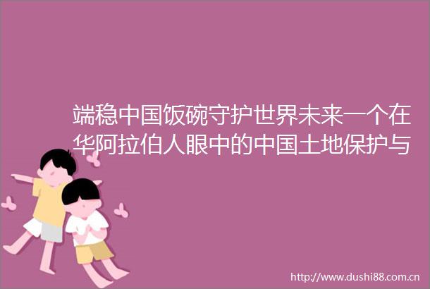 端稳饭碗守护世界未来一个在华阿拉伯人眼中的土地保护与粮食安全战略