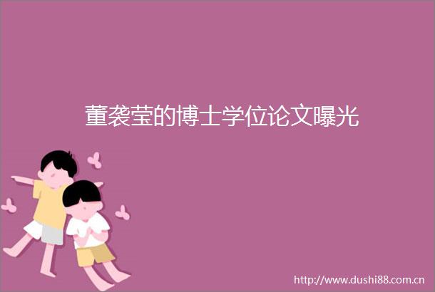 董袭莹的博士学位论文