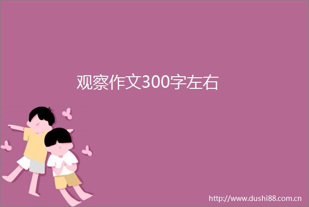 观察作文300字左右