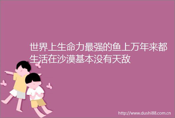 世界上生命力最强的鱼上万年来都生活在沙漠基本没有天敌