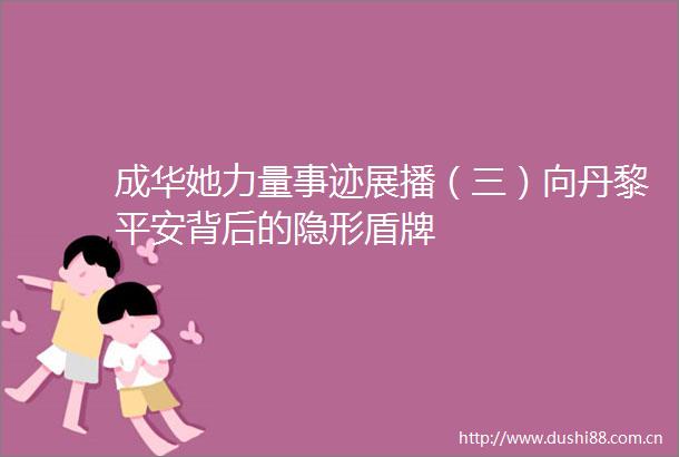 成华她力量事迹展播（三）向丹黎平安背后的隐形盾牌