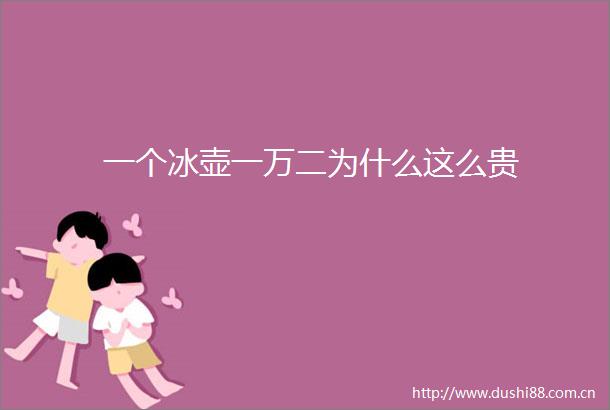 一个冰壶一万二为什么这么贵
