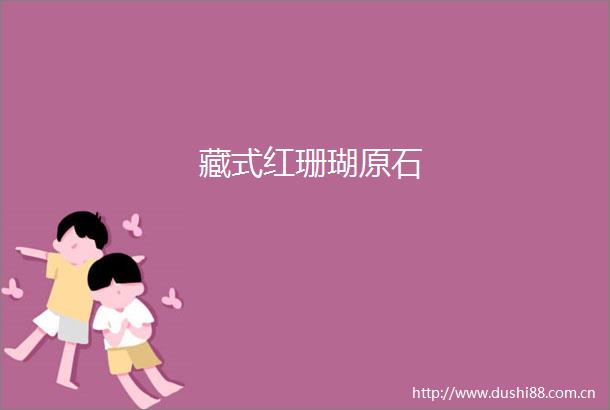 藏式红珊瑚原石