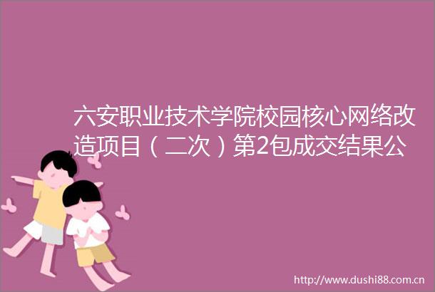 六安职业技术学院校园核心网络改造项目（二次）第2包成交结果公告