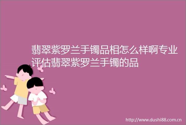 翡翠紫罗兰手镯品相怎么样啊专业评估翡翠紫罗兰手镯的品