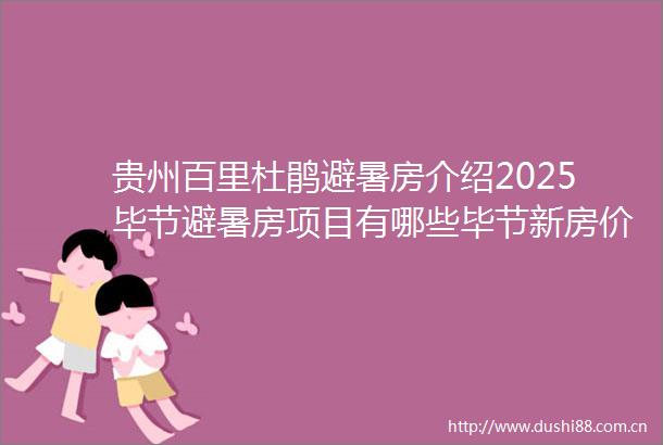 贵州百里杜鹃避暑房介绍2025毕节避暑房项目有哪些毕节新房价格毕节避暑