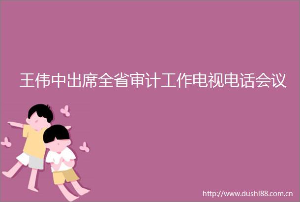 王伟中出席全省审计工作电视电话会议
