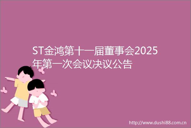 ST金鸿第十一届董事会2025年第一次会议决议公告